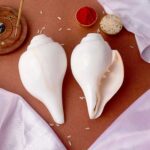 Natural 100% Original Blowing Shankha 12 cm - Image 2